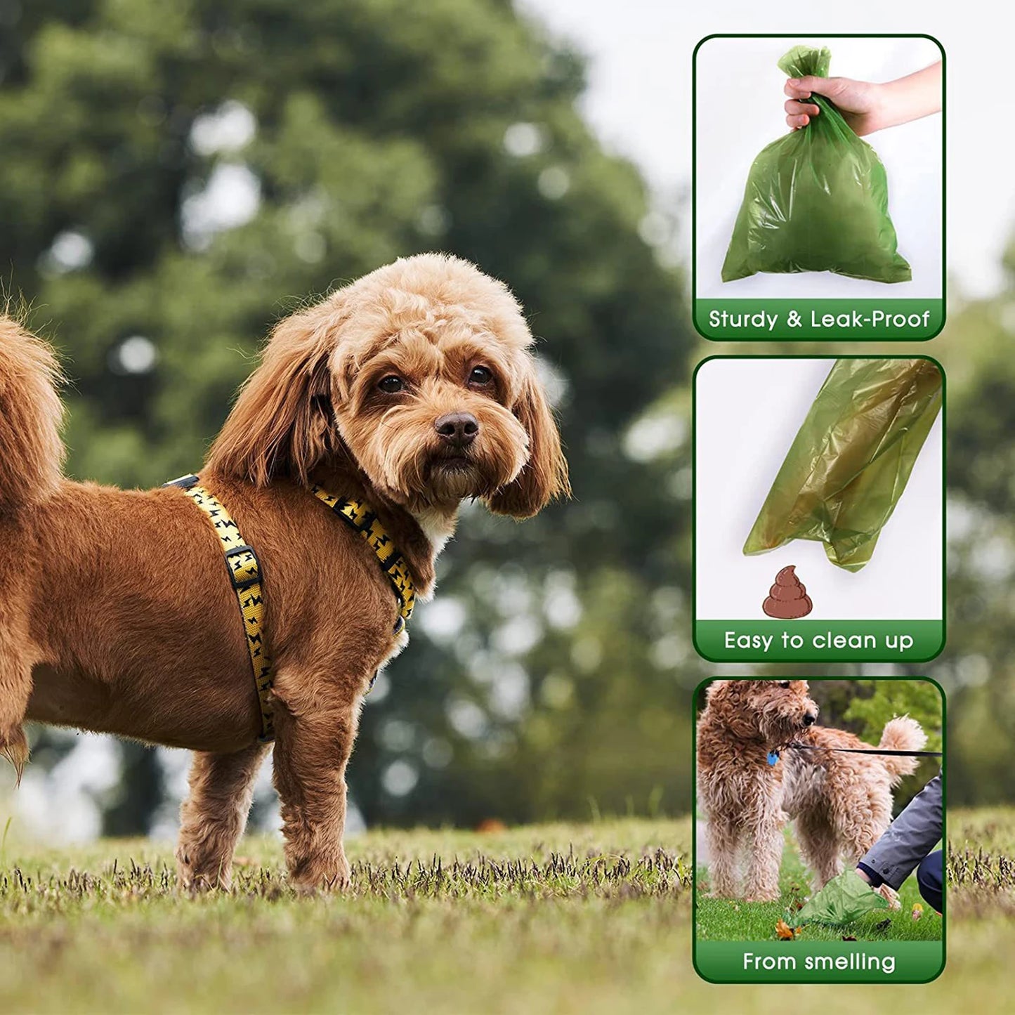 Eco-Friendly Dog Poop Bags with Dispenser – Biodegradable, Scented & Perfect for Pets